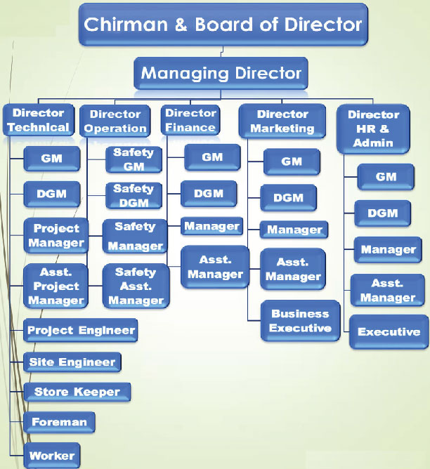 Organogram